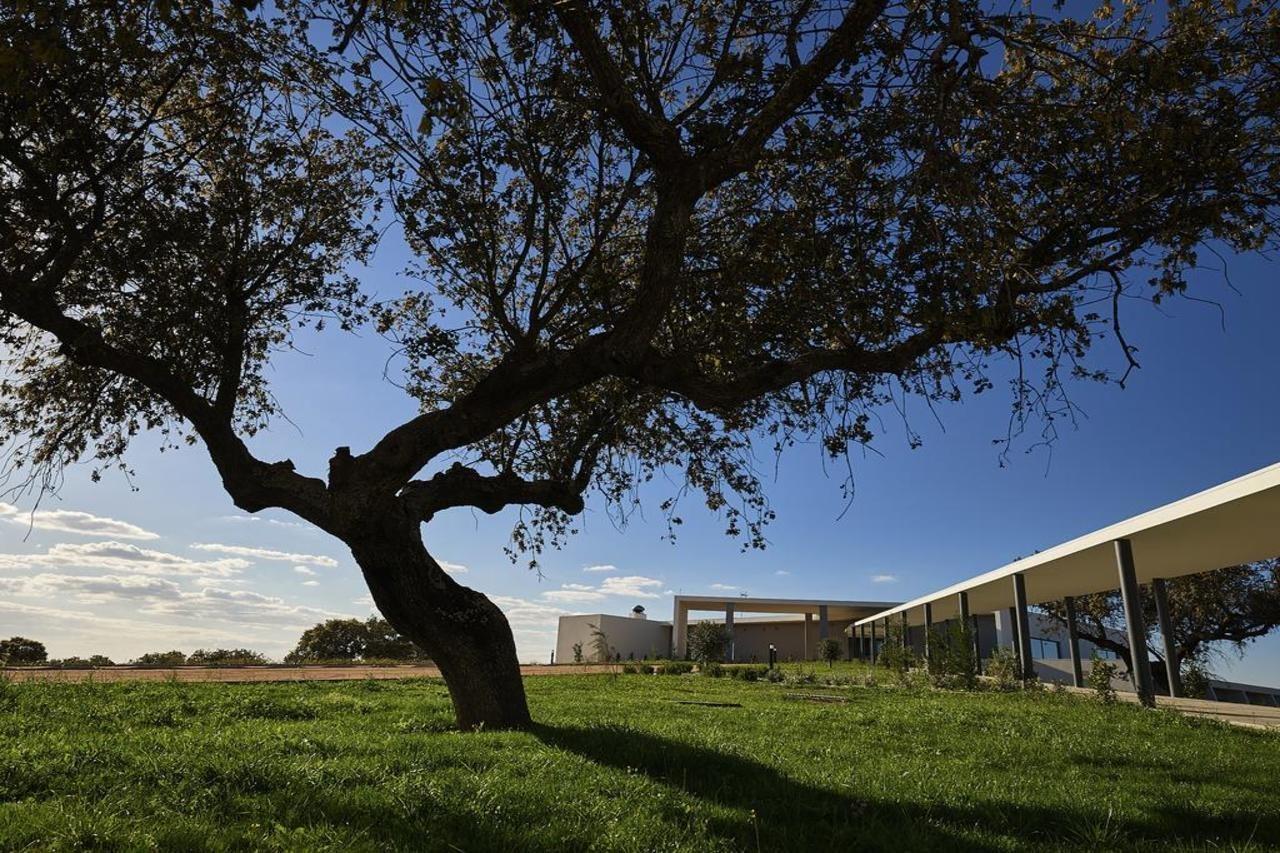 Herdade Dos Delgados Mourão Extérieur photo